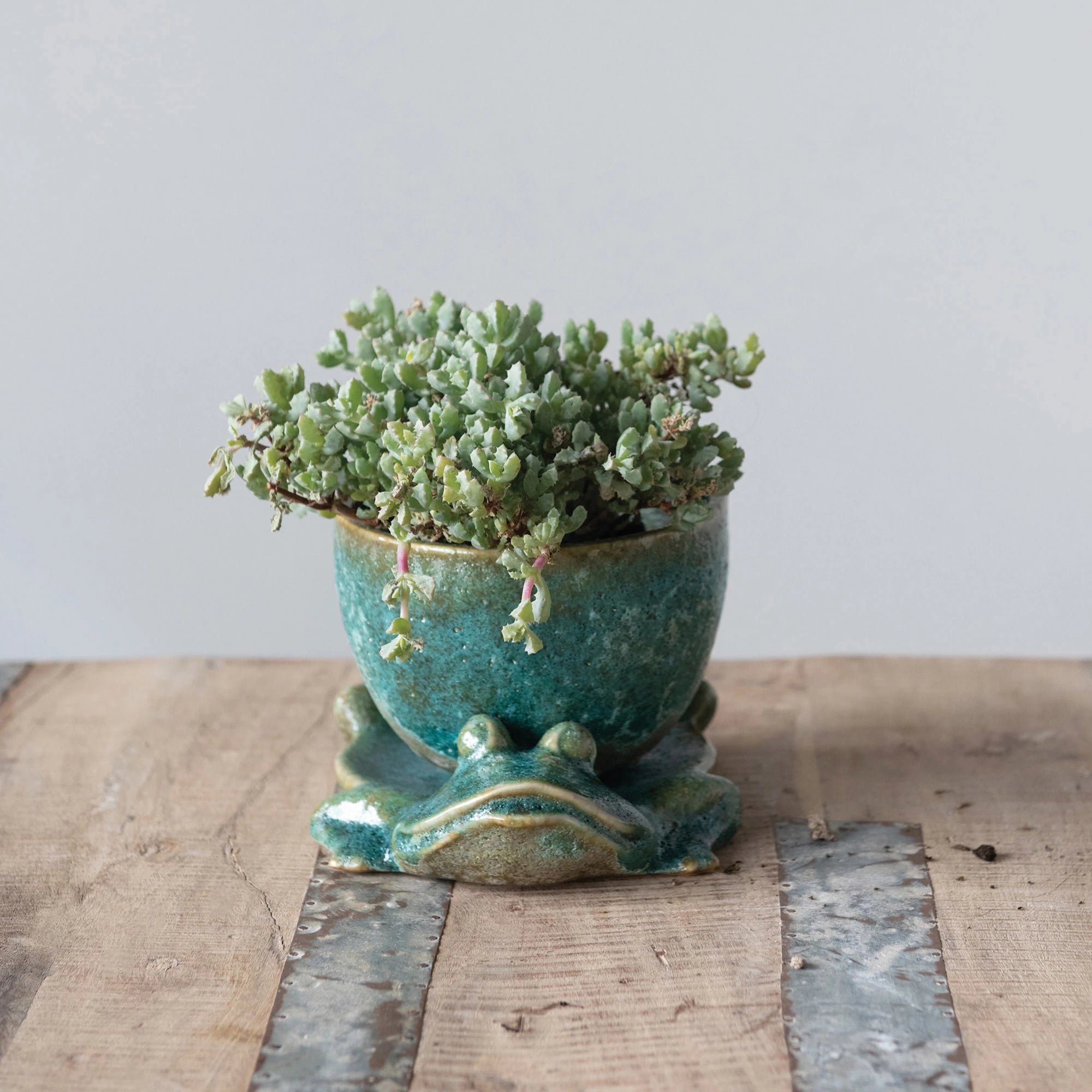 Creative Co-op - Stoneware Planter with Frog Base